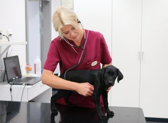 Ny europeisk specialist i kardiologi på Universitetsdjursjukhusets smådjursklinik