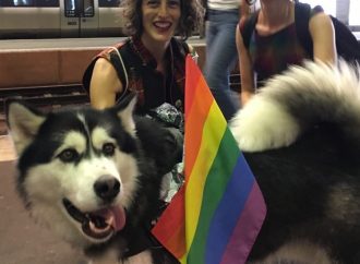 Bildspel: SVF på Prideparaden!