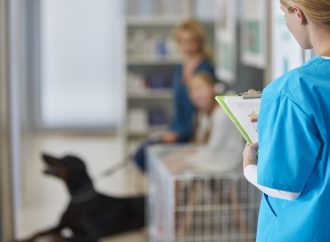 Kundtillfredsställelse inom djursjukvården – en studie av intern och extern kundtillfredsställelse  vid en distriktsveterinärmottagning