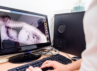 Slutsatser från röntgenundersökningar i djursjukvården kan vara missvisande