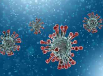 SVA: Det nya coronaviruset är en folkhälsofråga