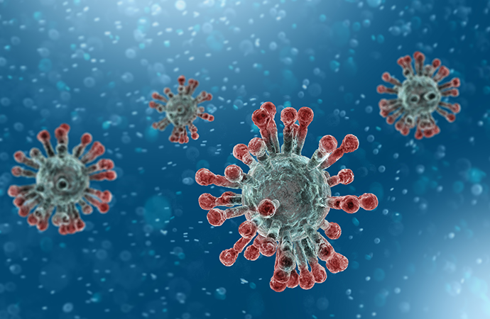SVA: Det nya coronaviruset är en folkhälsofråga