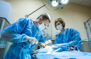 Veterinärer uppmanas använda alternativa anestesiläkemedel