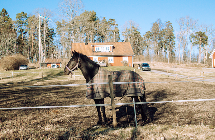Bristen på veterinärer oroar
