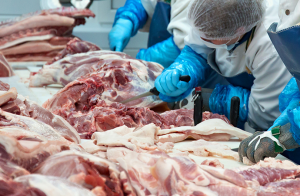 Den globala köttindustrin och livsmedelsförsörjningen hårt drabbad av covid-19