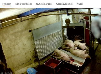 Uttalande från Sveriges Veterinärförbund med anledning av den film från ett slakteri som visas i TV4