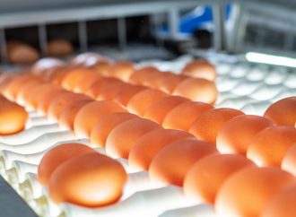 Äggproducenter kräver mer lokal äggproduktion för att minska effekterna av fågelinfluensan