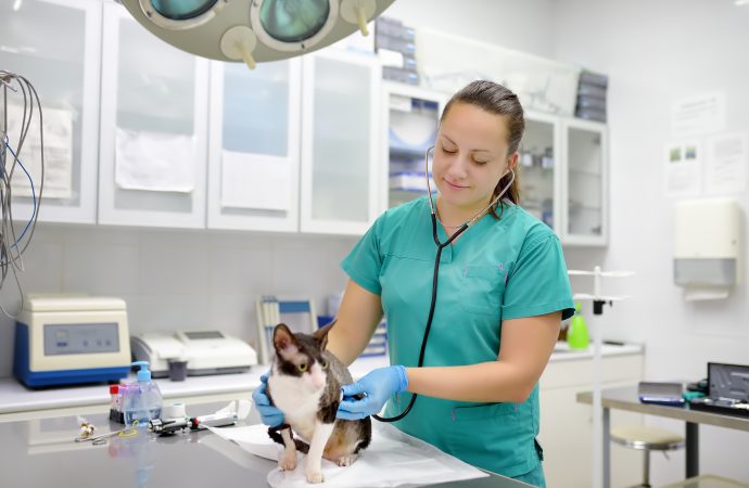 SLU föreslås få ökade resurser för att bygga ut veterinärutbildningen