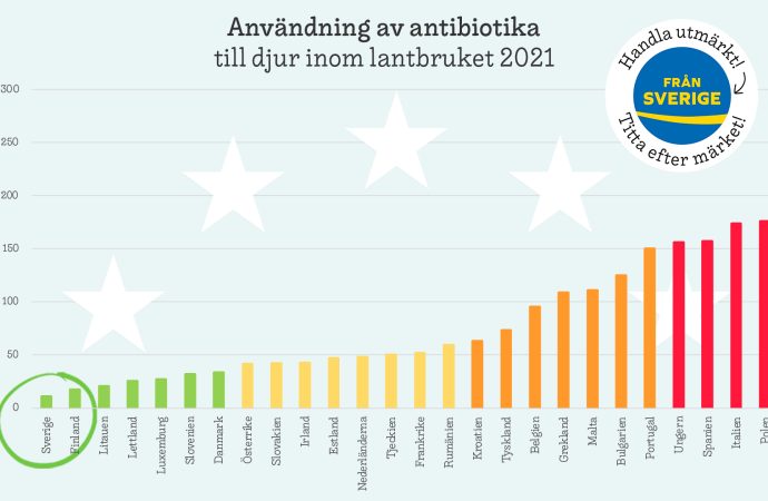 Sverige har lägst användning av antibiotika inom EU