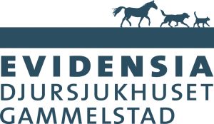 Vi välkomnar leg veterinär till en arbetsplats med arbetsmiljön i fokus!