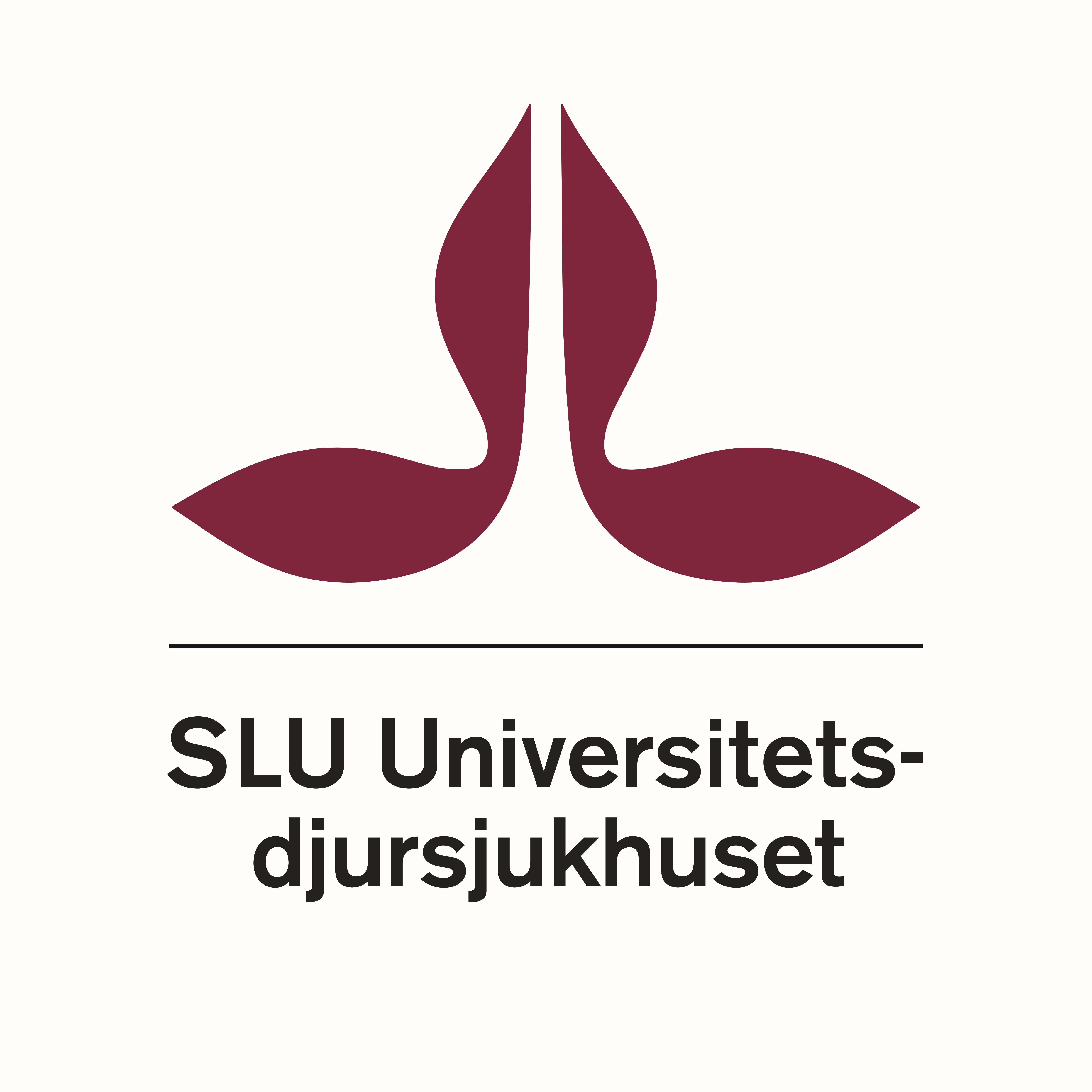 Veterinärchef Smådjurskliniken Universitetsdjursjukhuset Uppsala