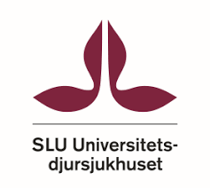 Kirurg till smådjurskliniken, UDS