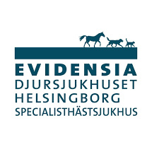 Utbildningstjänster för hästveterinärer inom medicin, kirurgi och ortopedi