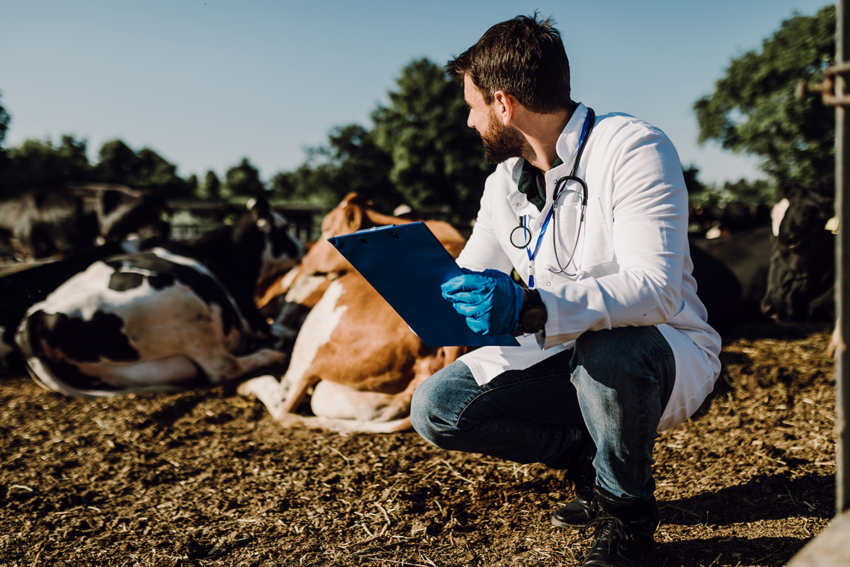 Fungerande veterinär beredskap är viktig för Sverige