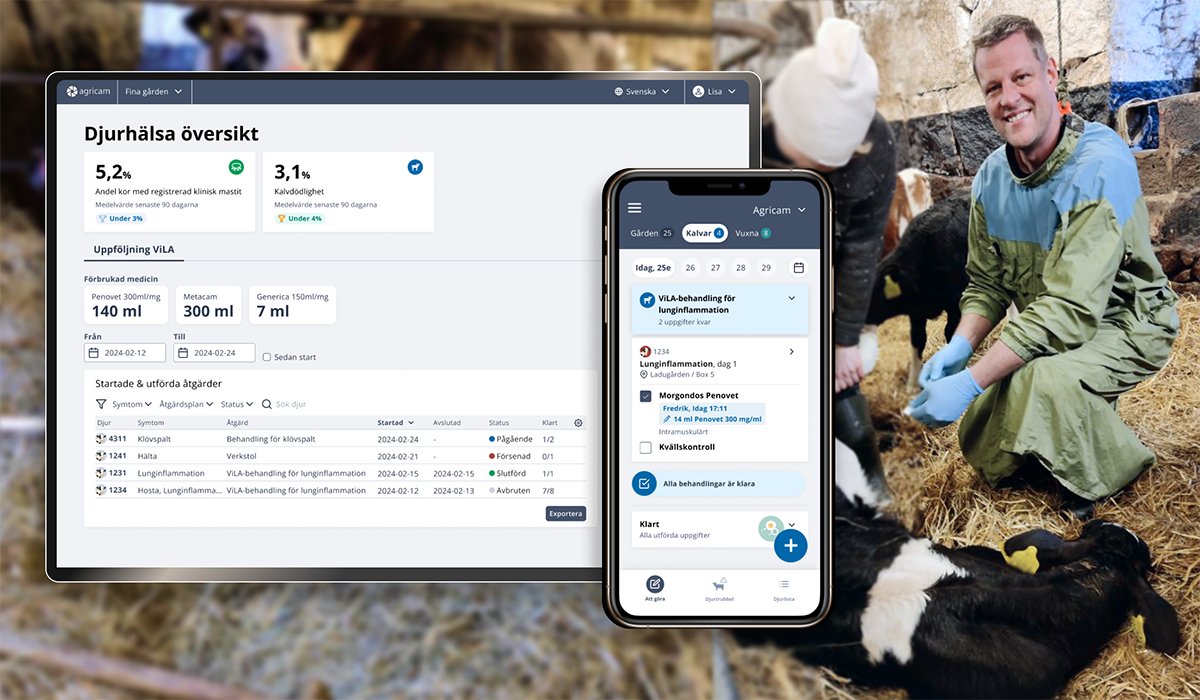 Ny digital helhetslösning stöttar ViLA-anslutna mjölkgårdar